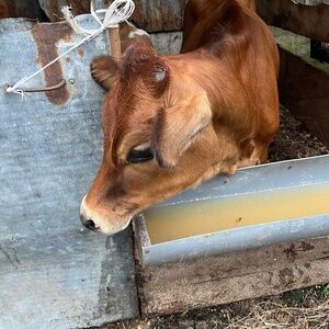 Meet your Posher, Noémie